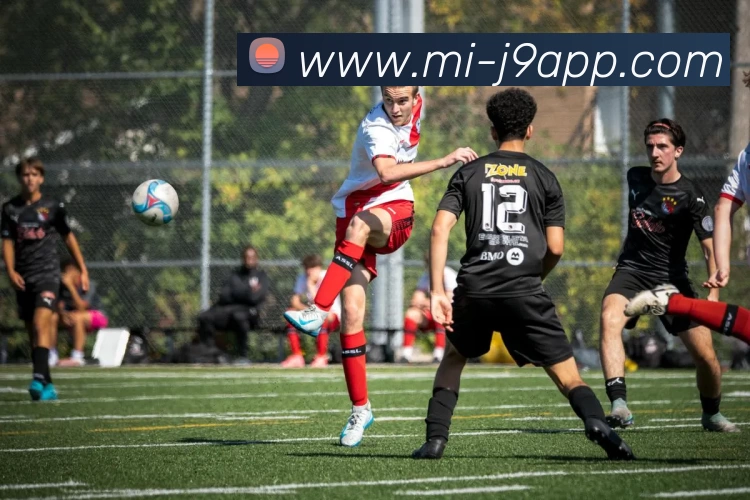 九游会平台生态图